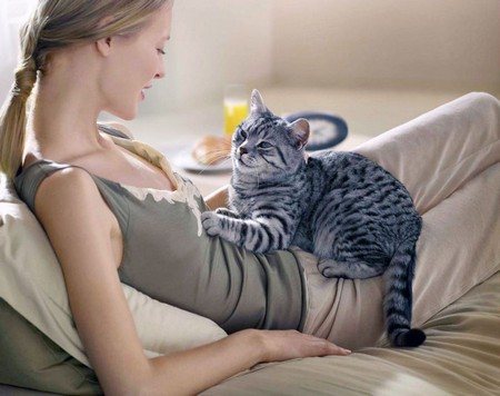 Методы влияния на кошку